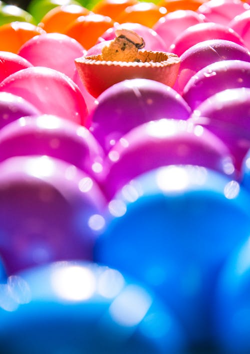 Free stock photo of balls, bear, colors