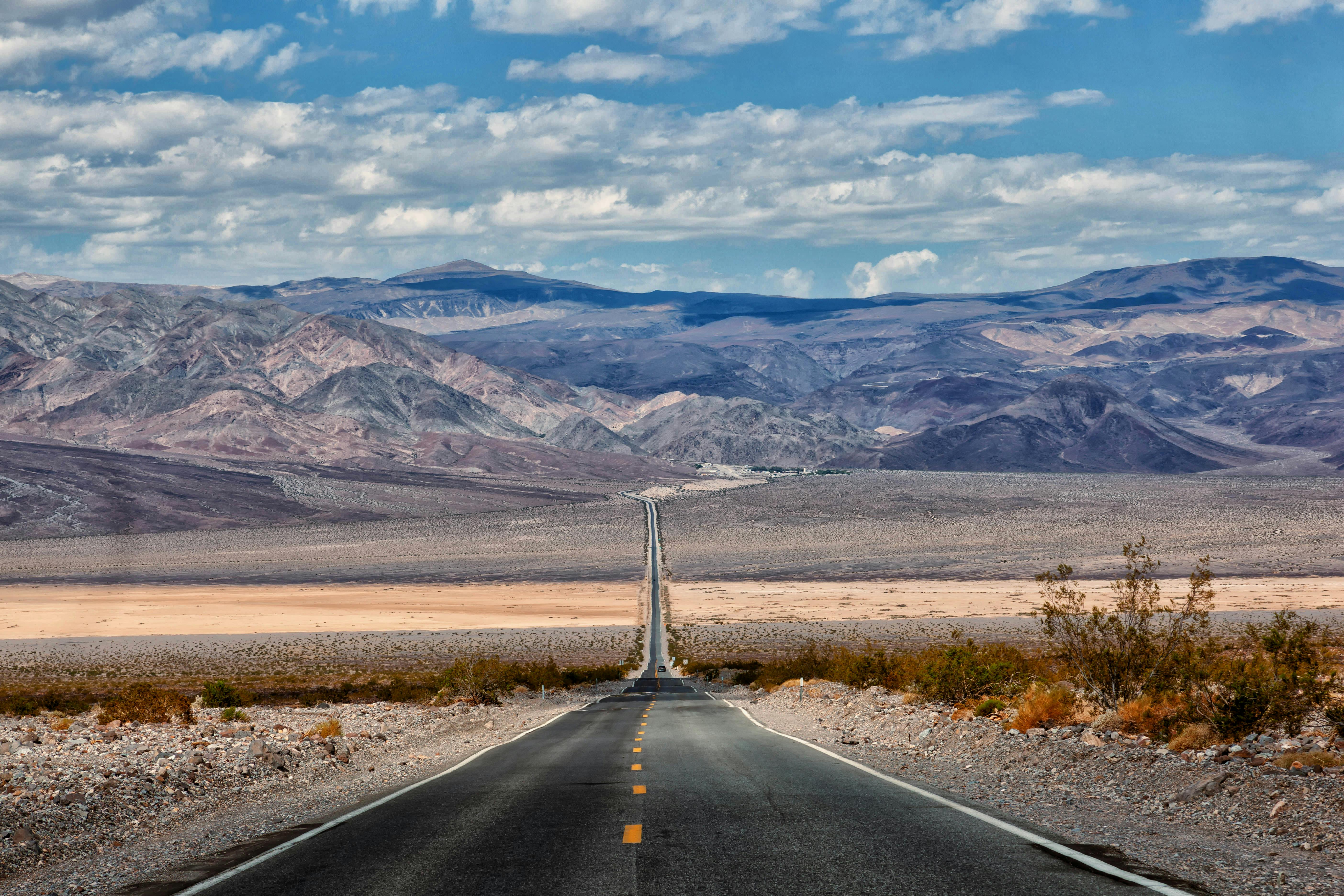 Photo by jesus esteban on Pexels