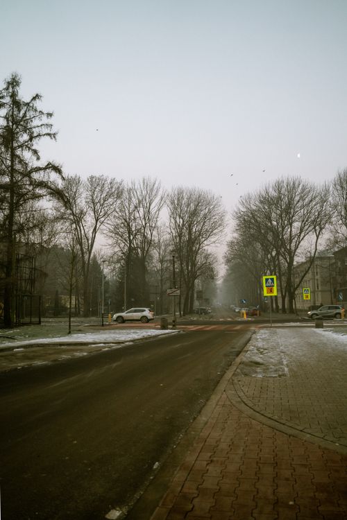 Free A misty winter street scene with leafless trees and light snowfall in a quiet neighborhood. Stock Photo