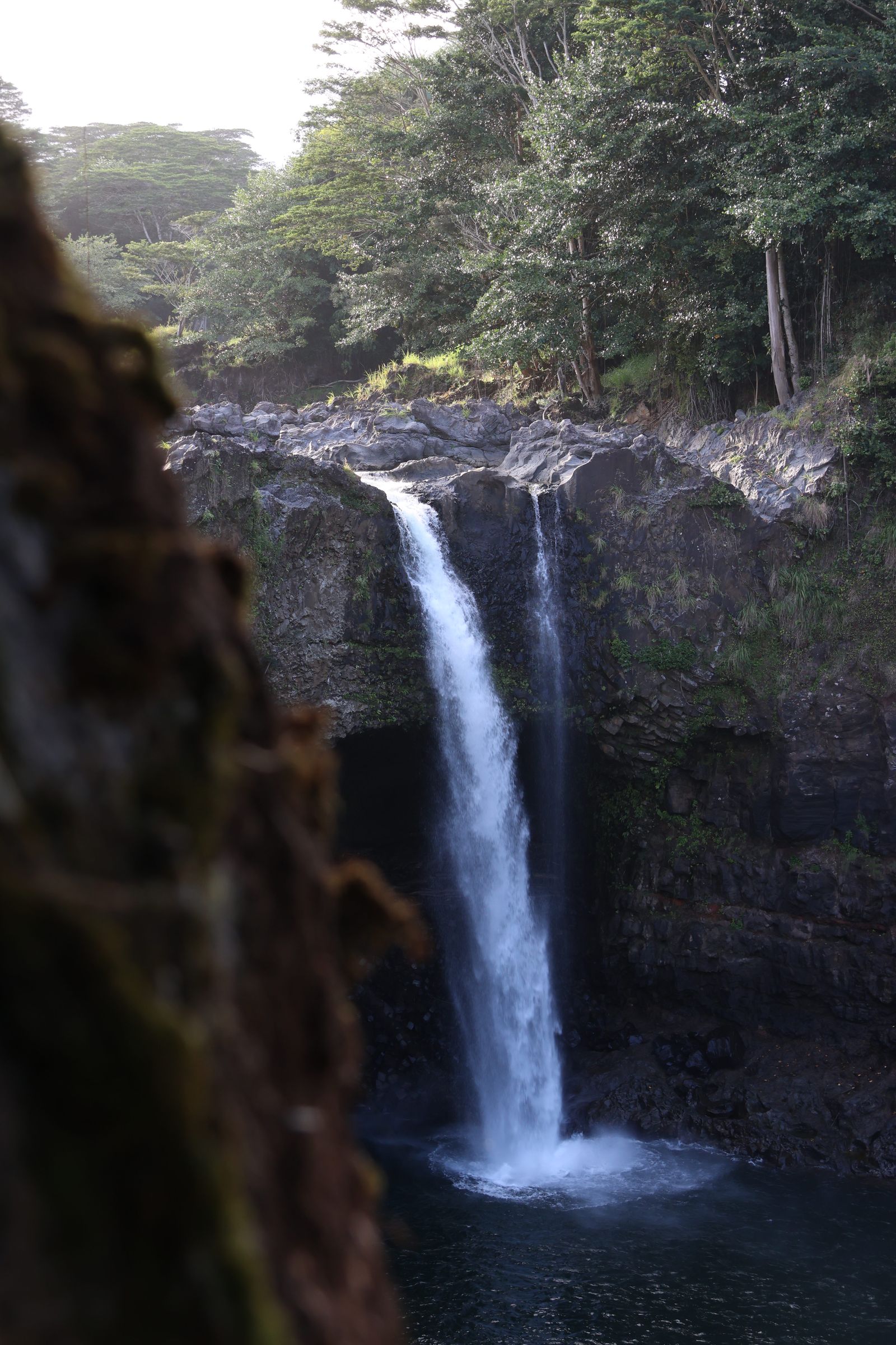 A waterfall near Hilo on the Big Island