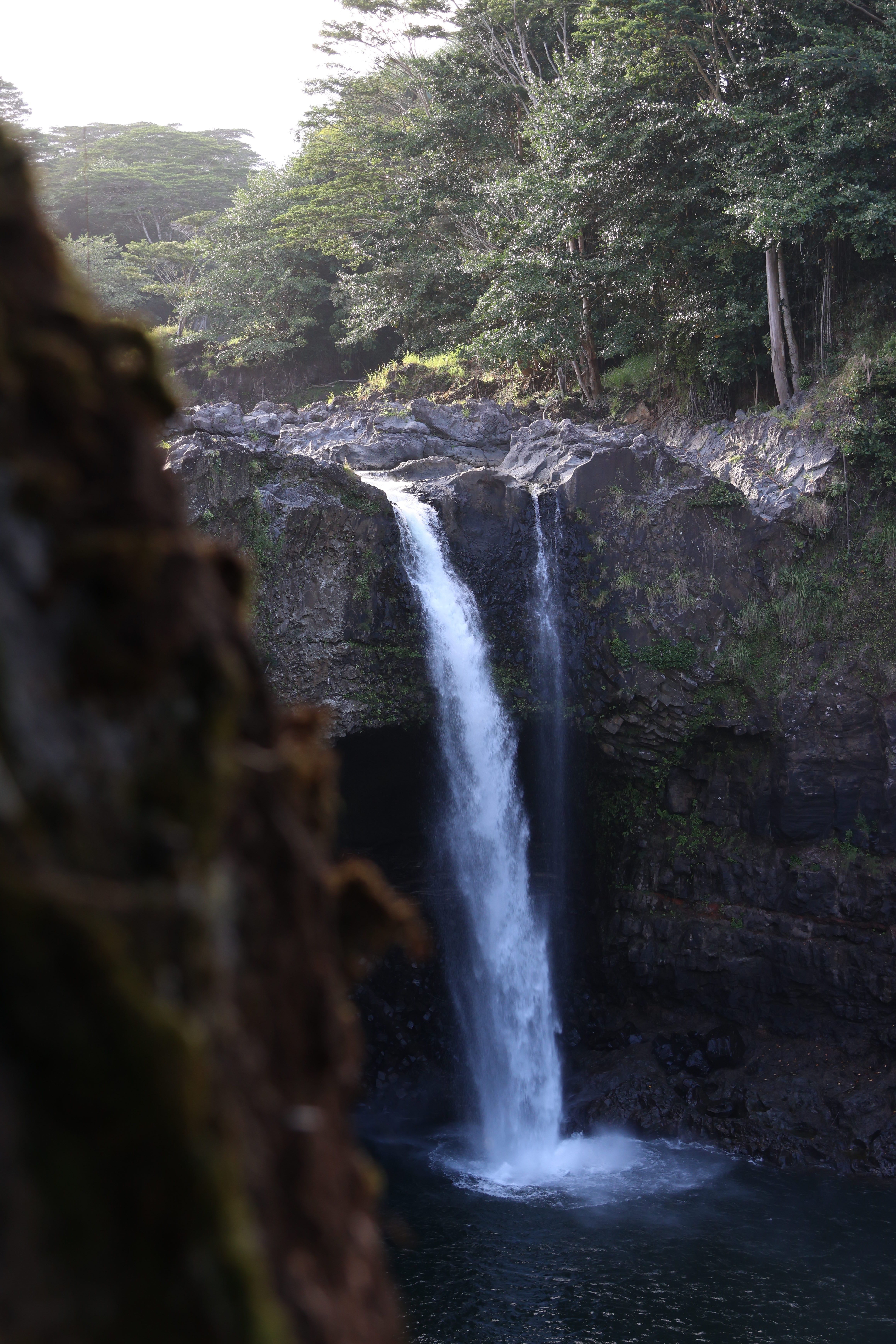 その他 Waterfalls of Hawaii [DVD] Manawaiopuna Falls—famously known as Jurassic Falls—is a stunning