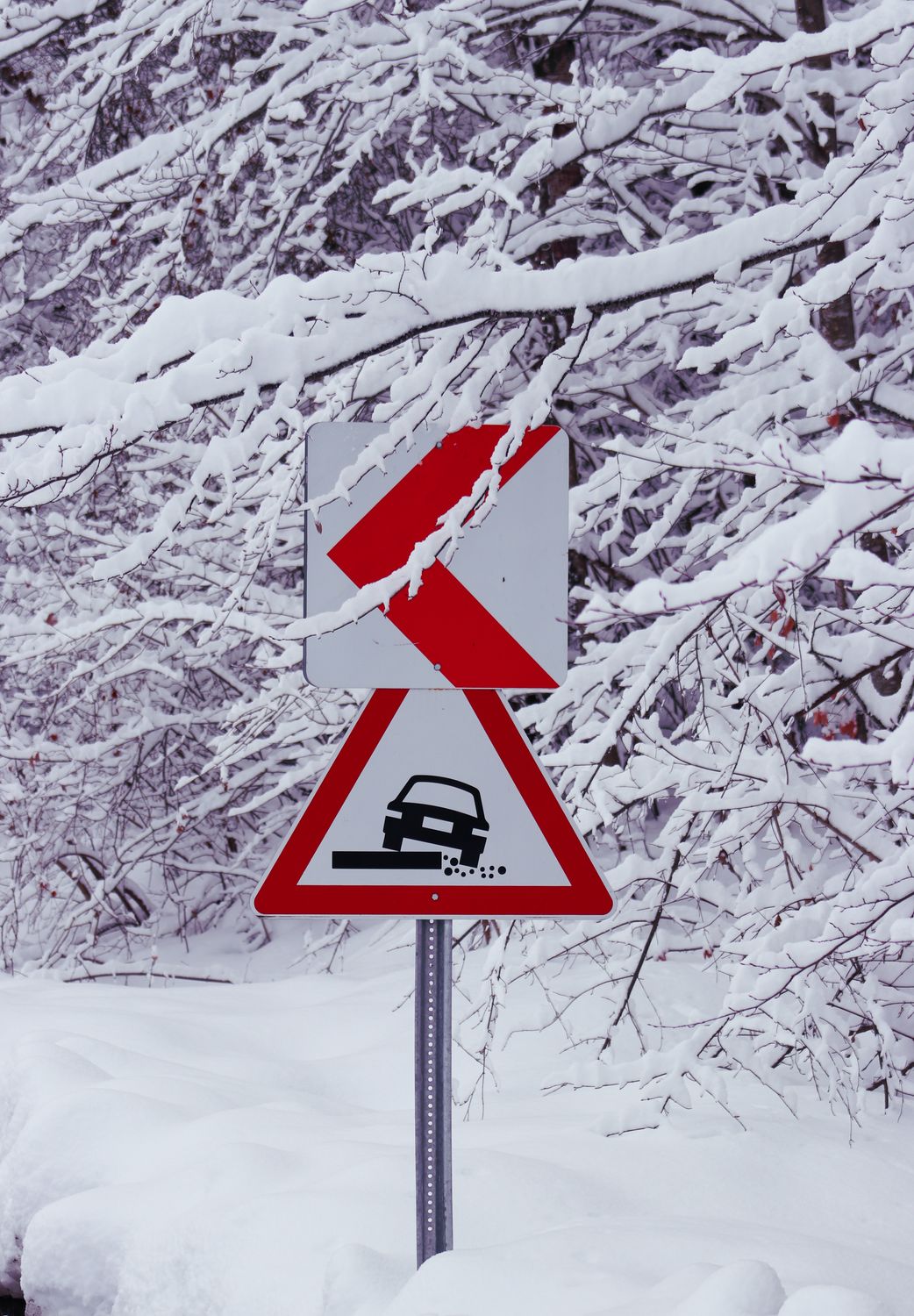 Snowyproof Sign Winter Road Warning Sign in Snowy Forest · Free Stock Photo