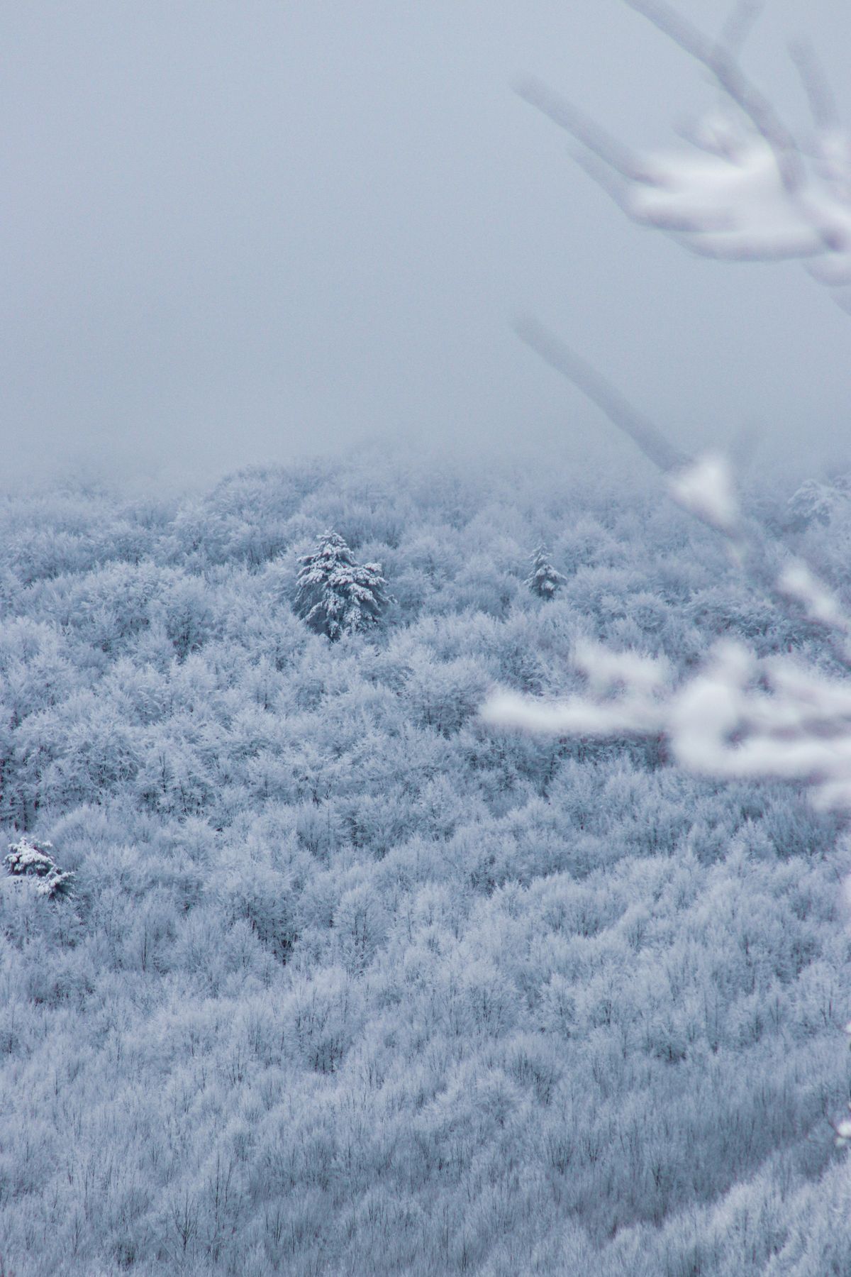 雪原の焚き火の風景