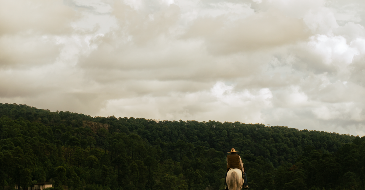 ¿Qué rutas de cabalgata natural se ofrecen en las tierras altas de El Salvador? ¿Qué rutas de cabalgata natural se ofrecen en las tierras altas de El Salvador?