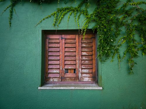 Free Rustic wooden shutter on green wall embraced by vines, Colonia del Sacramento charm. Stock Photo