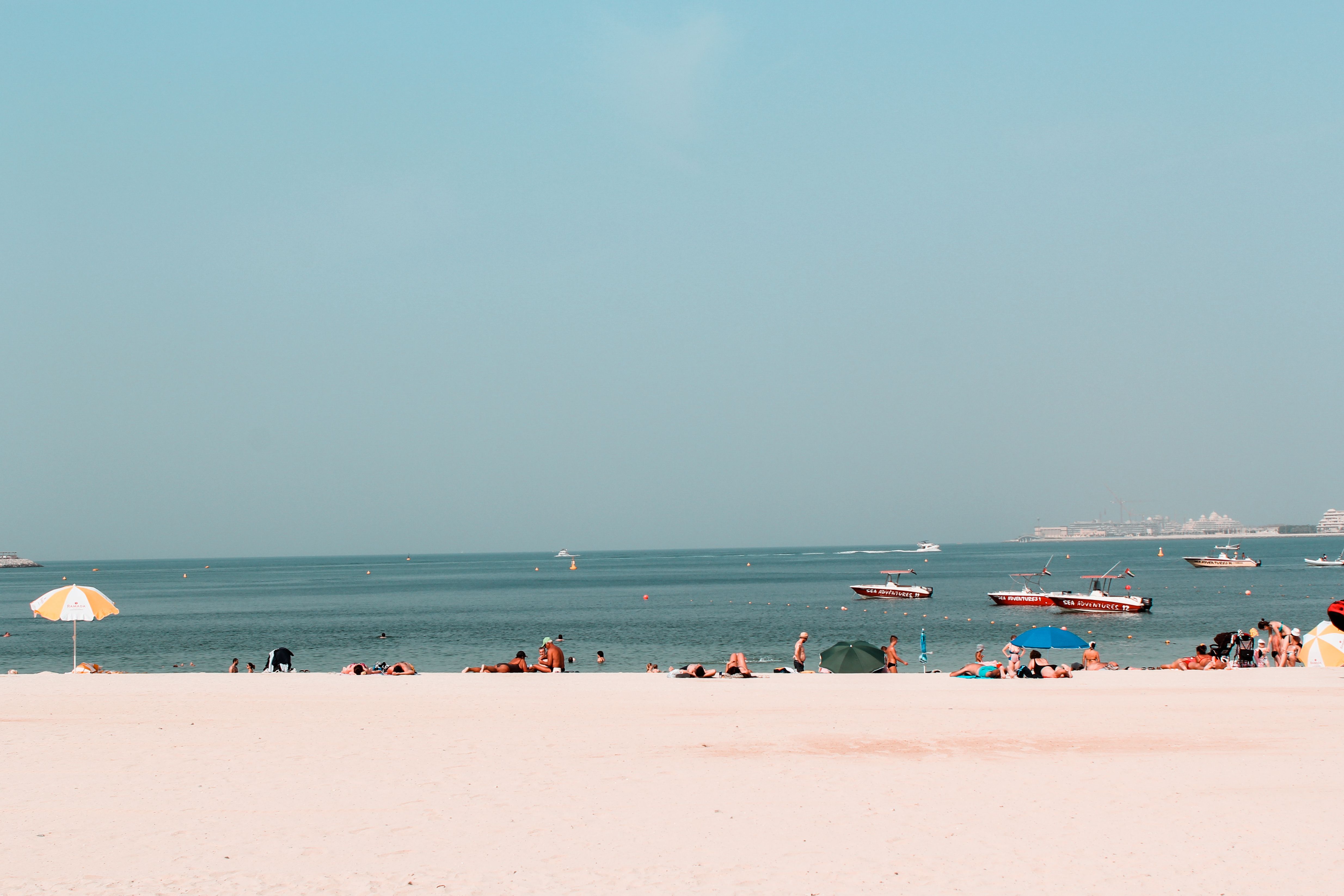 People Having Fun on a Tropical Beach Resort · Free Stock Photo
