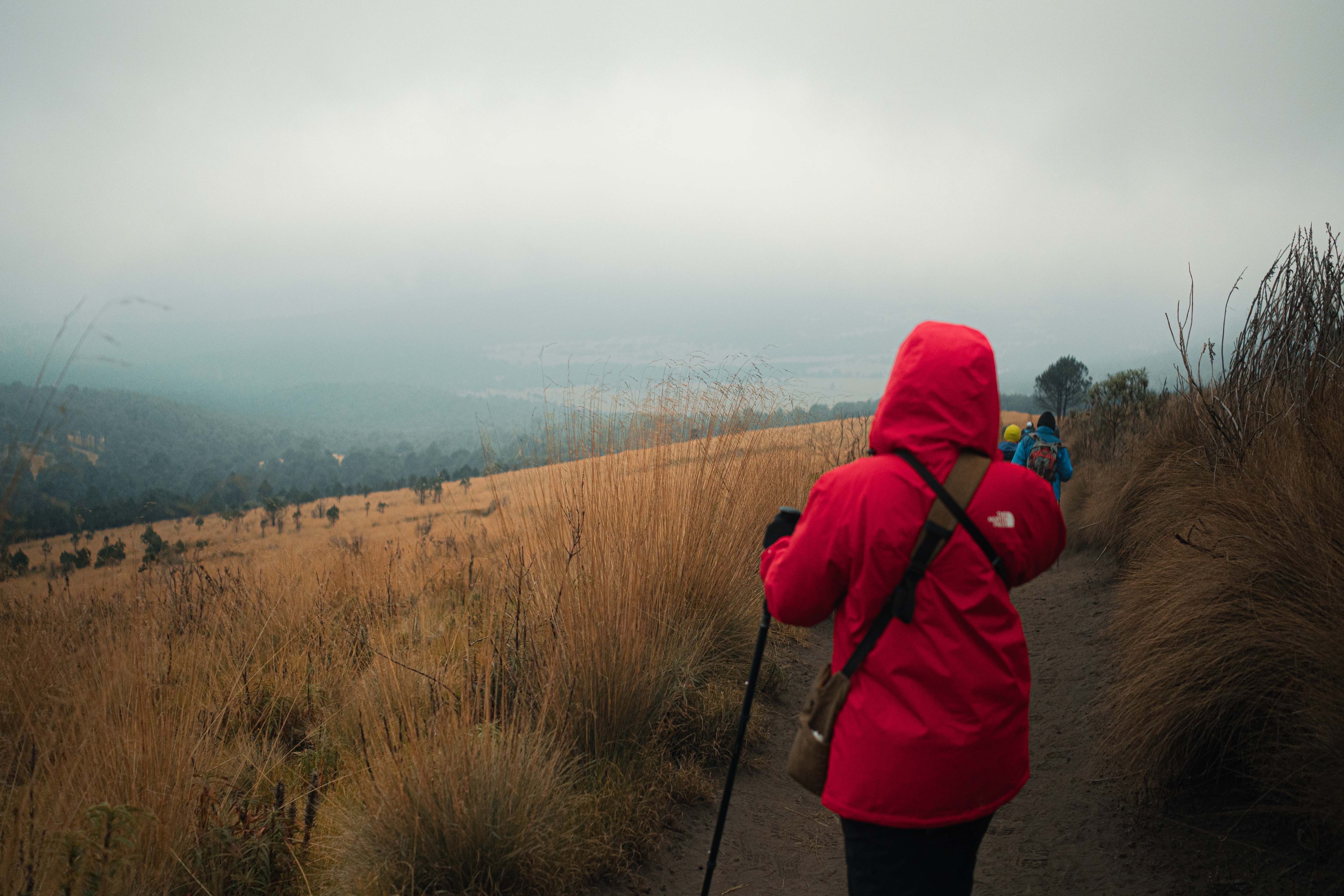 Hiker in red jacket walks along a foggy mountain trail surrounded by tall grass.
