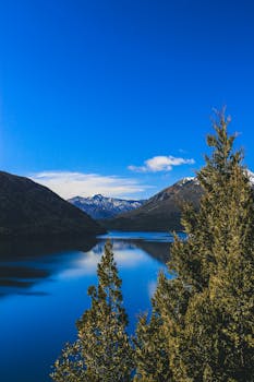 Image by Belu  I Lr Presets & LUTs on presetspix.etsy.com