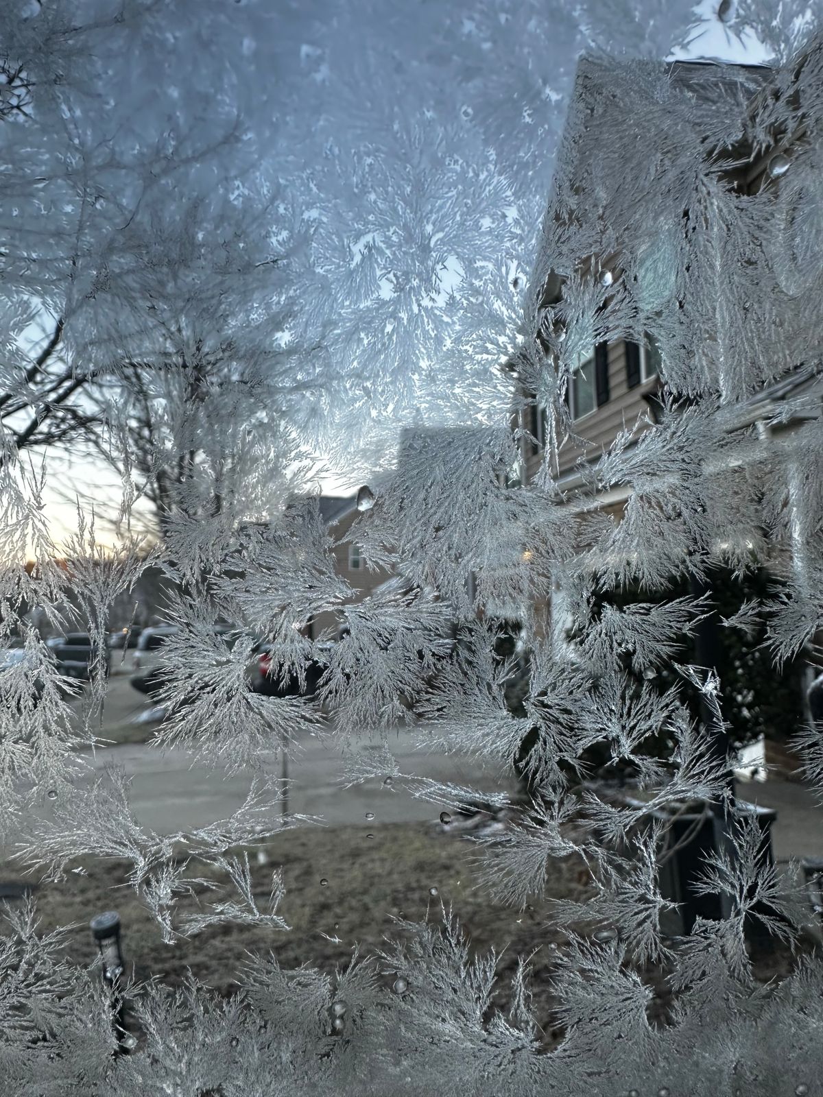 Heavy frost on a window pane on a winter morning, one reason one room is always cold
