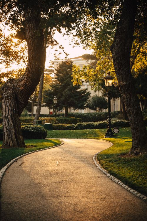 Free A tranquil pathway surrounded by trees in a park during sunset, offering a peaceful escape. Stock Photo