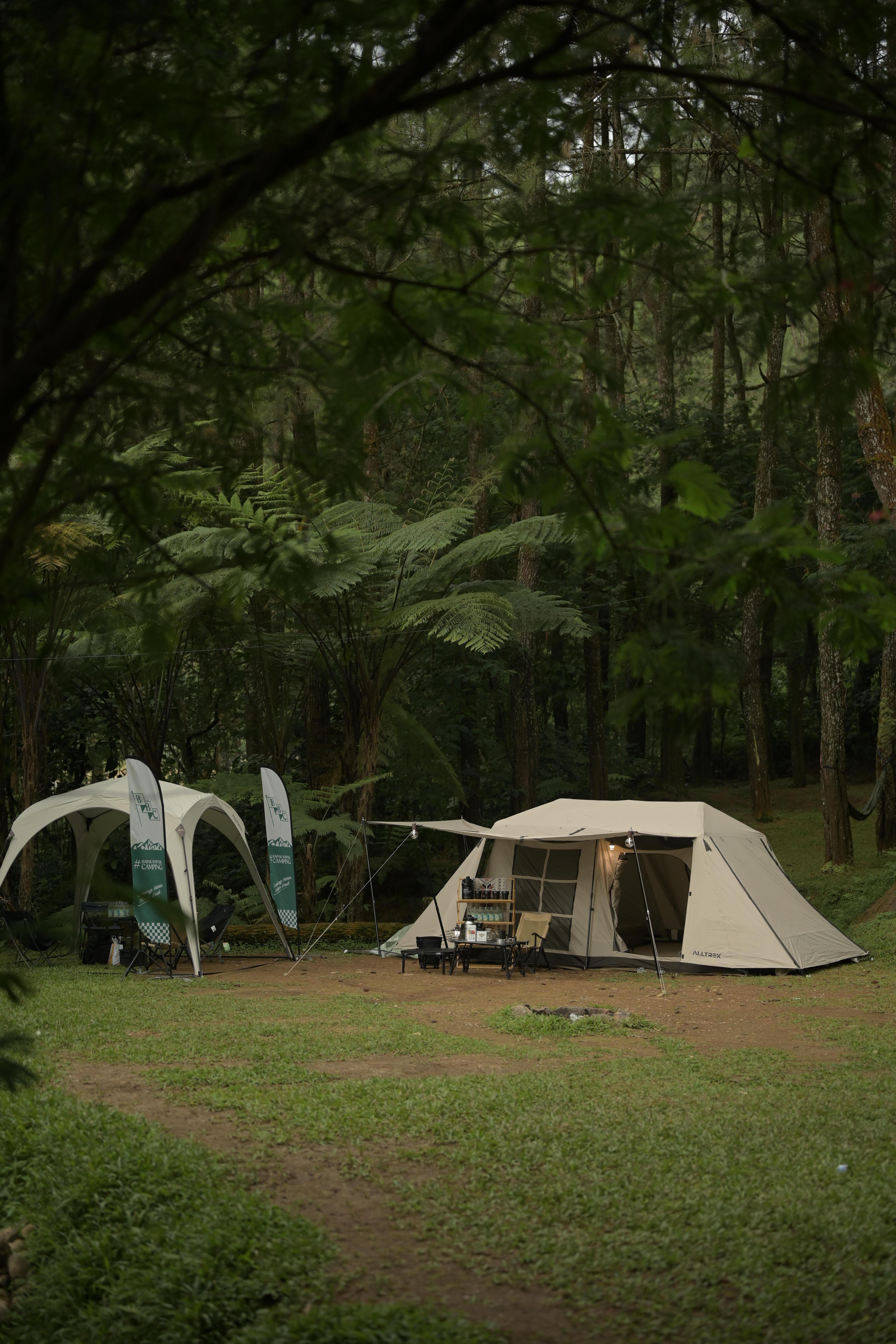Serene Camping Setup in West Java's Forest · Free Stock Photo