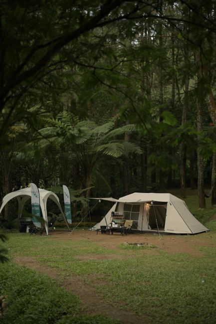 Fotomural Acogedora tienda de campaña ubicada en el exuberante bosque del oeste de Java, perfecta para la aventura al aire libre.