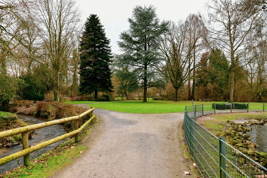 A serene park pathway during early springtime with green grass and bare trees.