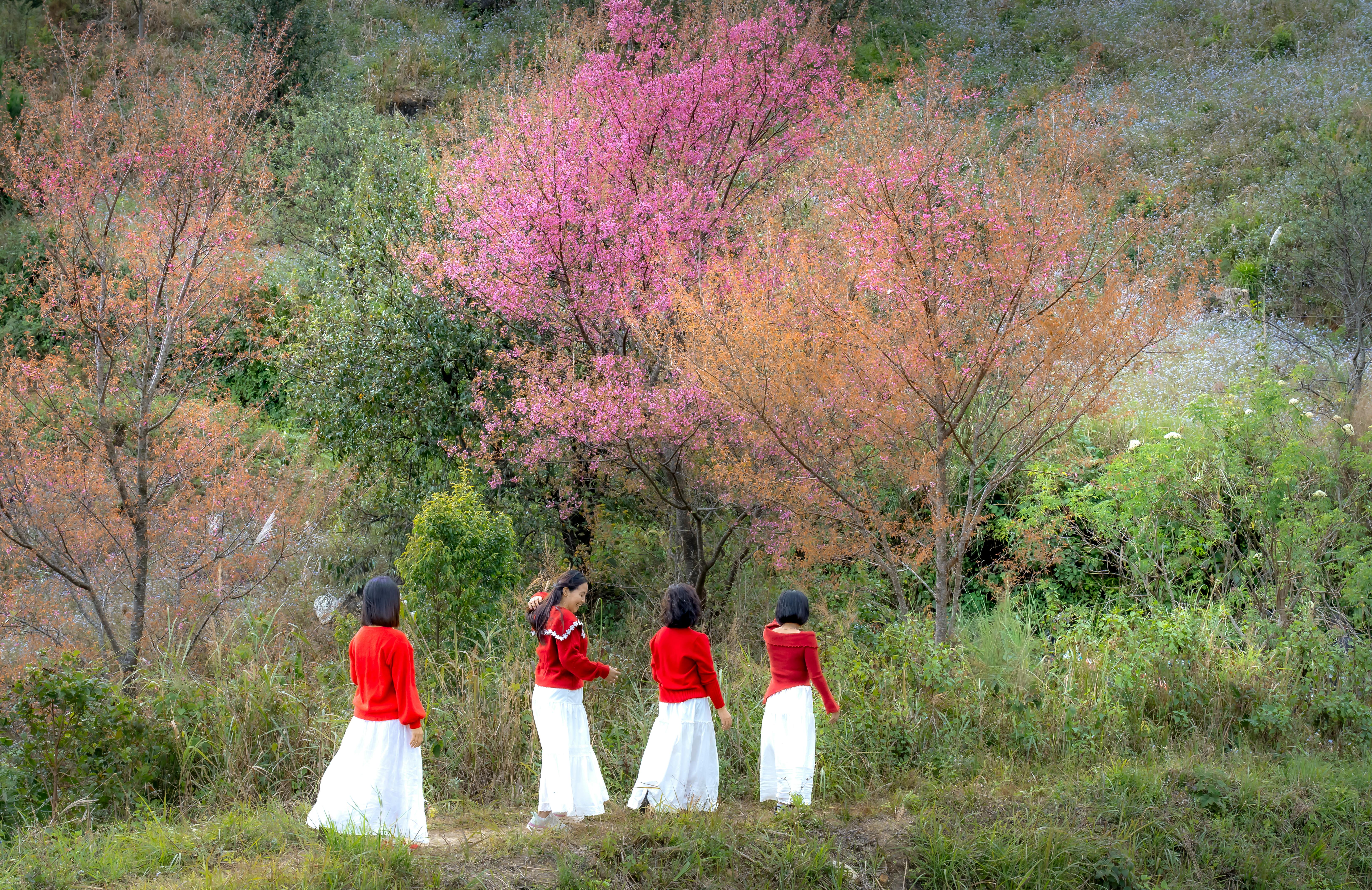 Quatre femmes en robes rouges marchent parmi des arbres en fleurs colorés dans un cadre forestier luxuriant et vibrant.
