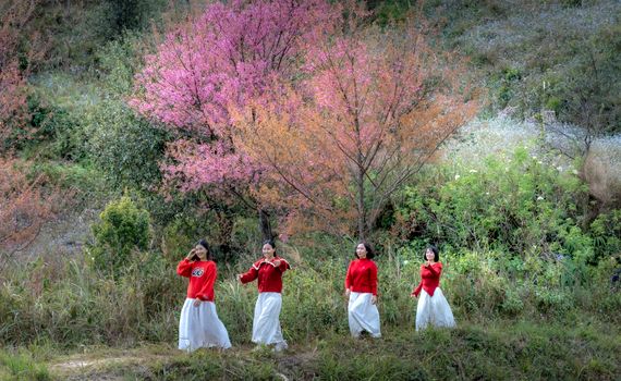 Four women in red sweaters enjoy nature under vibrant cherry blossoms, symbolizing spring.