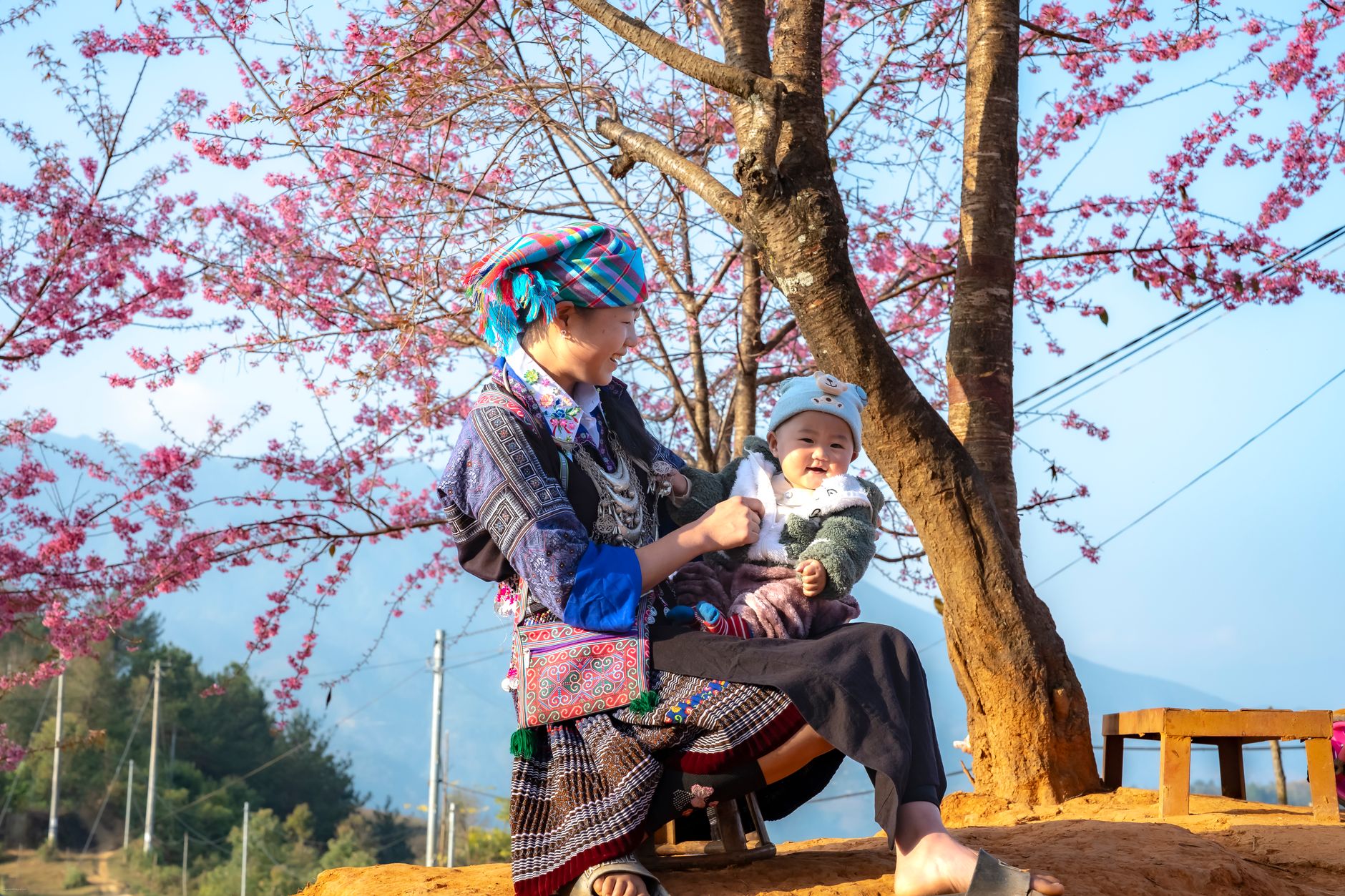 A mother and her baby sharing a joyful moment under a cherry blossom tree in Vietnam.