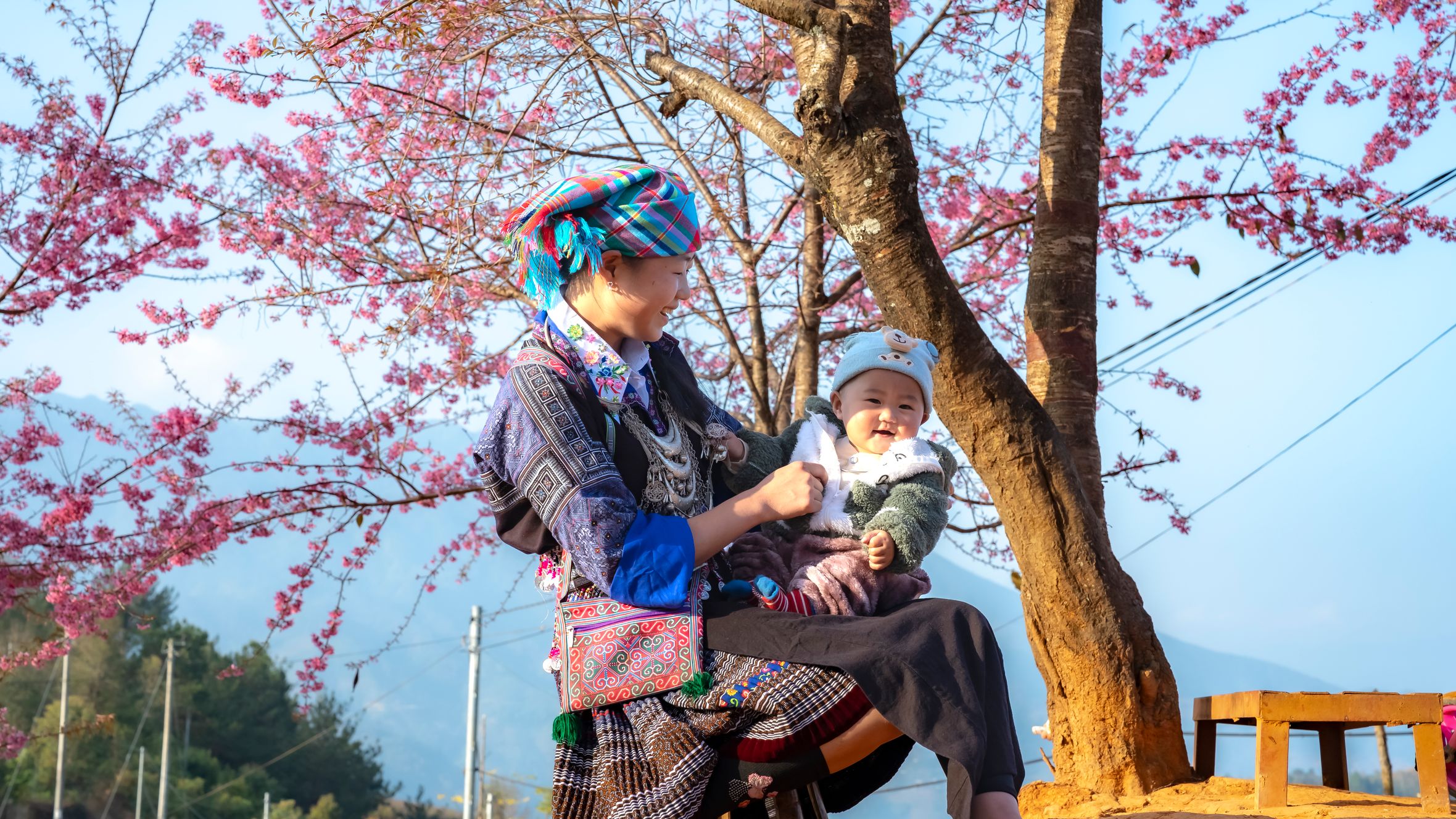 A mother and her baby sharing a joyful moment under a cherry blossom tree in Vietnam.