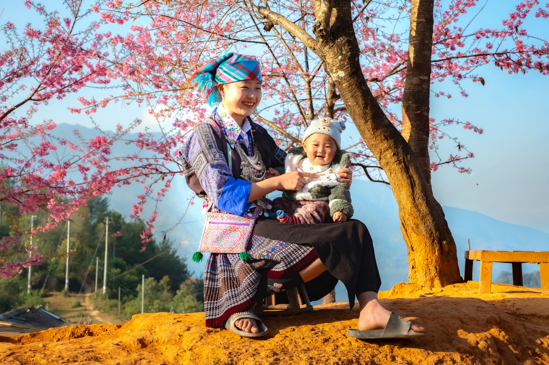 A mother and child in traditional attire enjoy a sunny day under cherry blossoms, Vietnam.