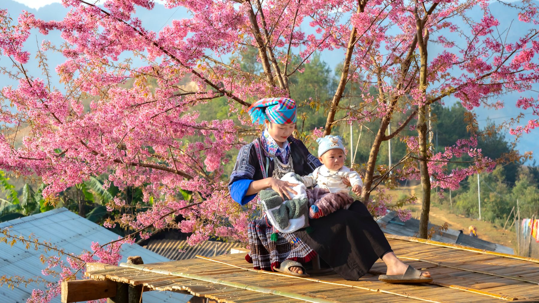 A mother and child sit under vibrant cherry blossoms in a picturesque village setting, showcasing cultural attire.