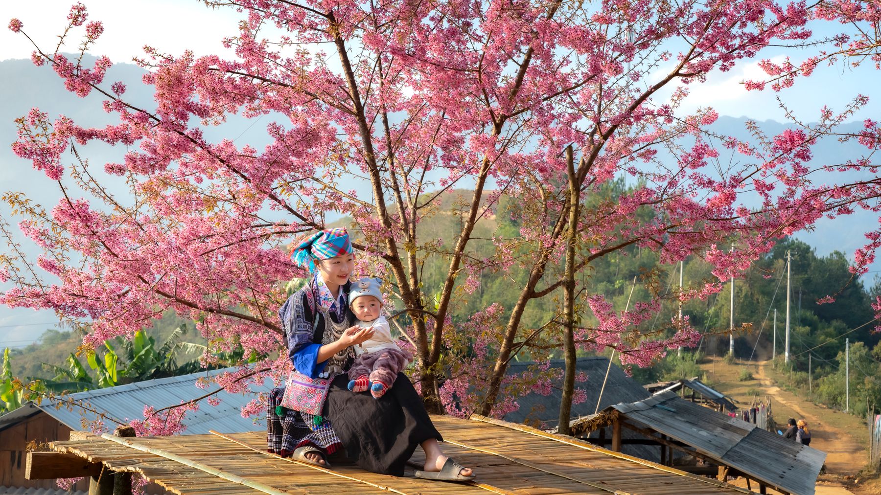 A mother and child sit under a vibrant cherry blossom tree in a rural setting, capturing a peaceful moment.