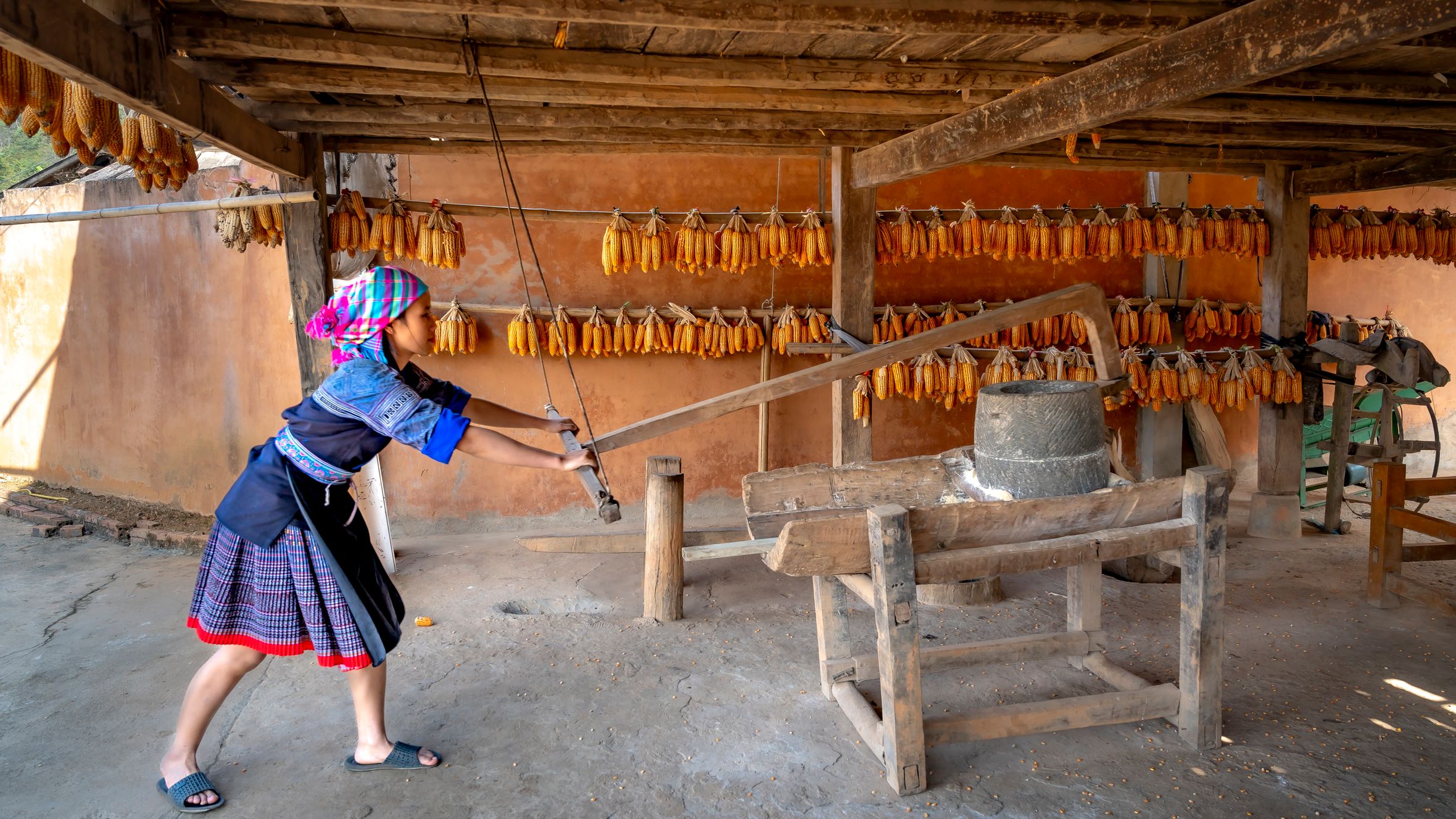 A woman in traditional dress using a manual corn mill in a rural Vietnamese setting.
