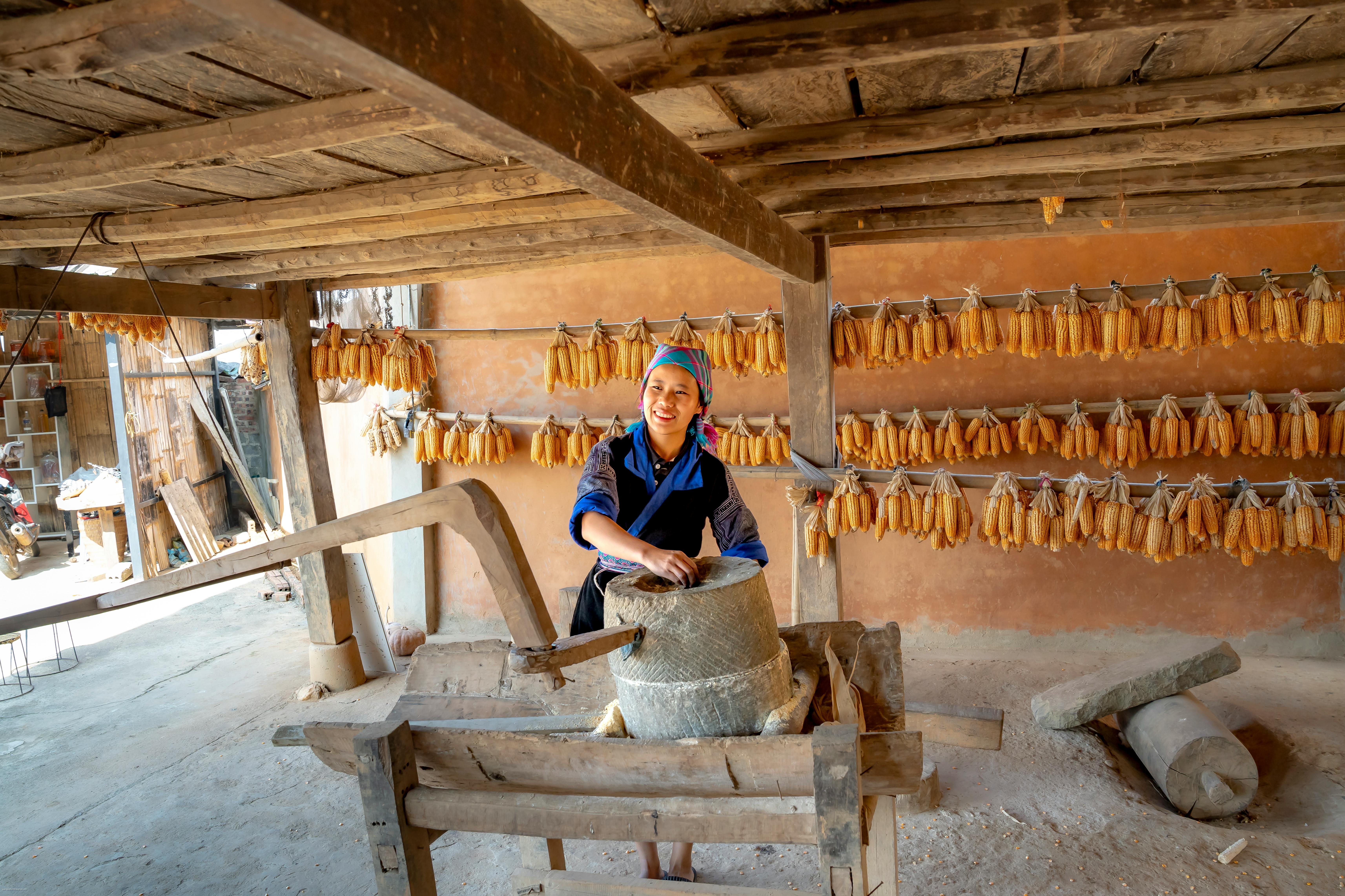 A woman using a traditional grinder in a rural setting with corn drying in the background.