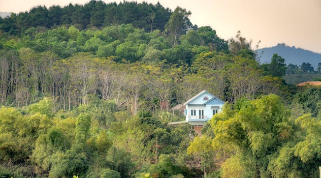 A serene house surrounded by dense green forest under a clear sky.