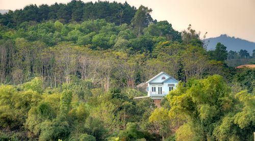 Free A serene house surrounded by dense green forest under a clear sky. Stock Photo