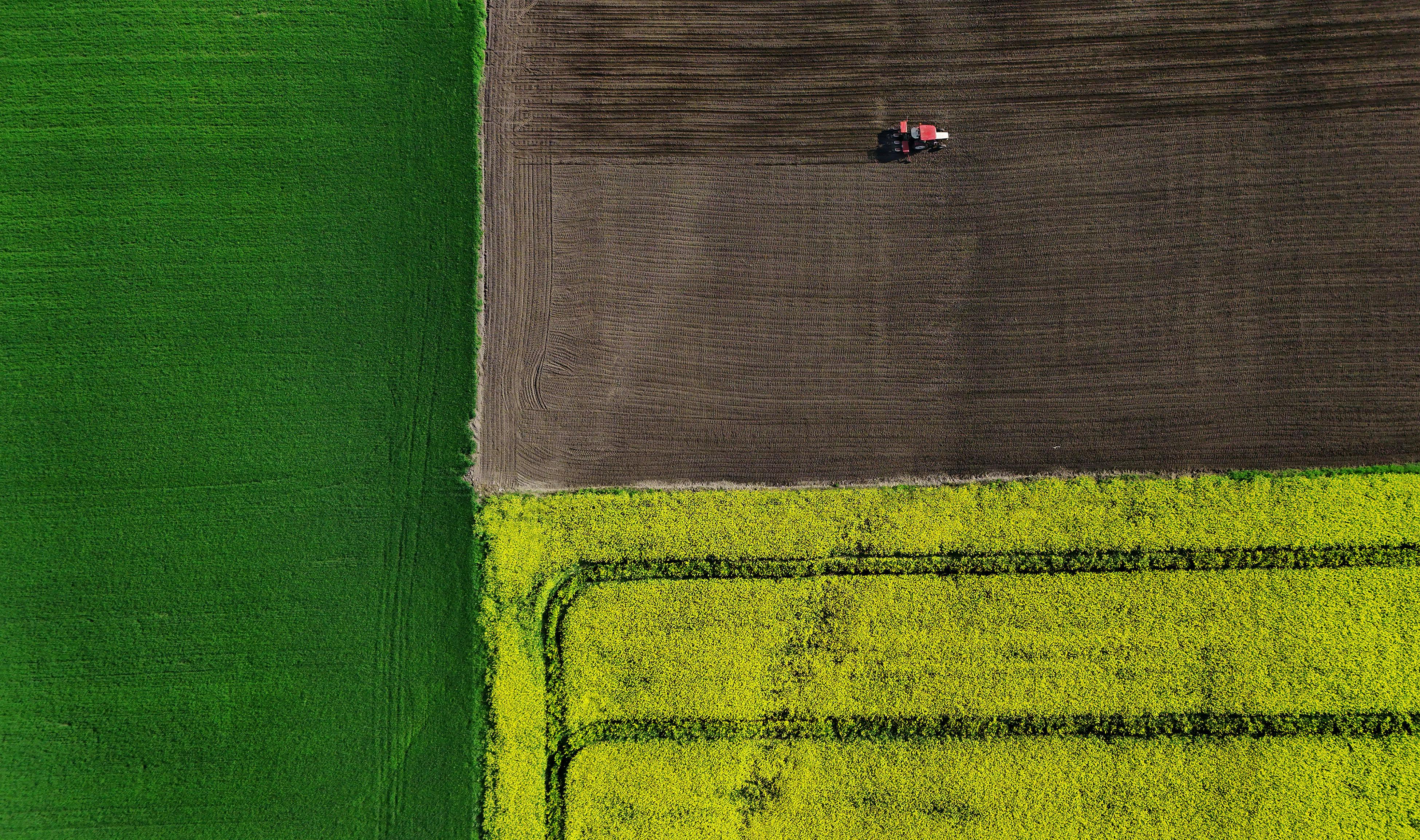 Aerial shot of colorful fields with a tractor, showcasing agriculture's beauty.