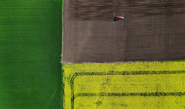 Aerial shot of colorful fields with a tractor, showcasing agriculture's beauty.