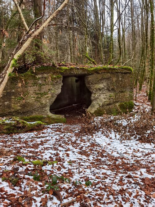 Free Rustic concrete ruin amidst a snowy, leaf-strewn forest in Bayern. Stock Photo