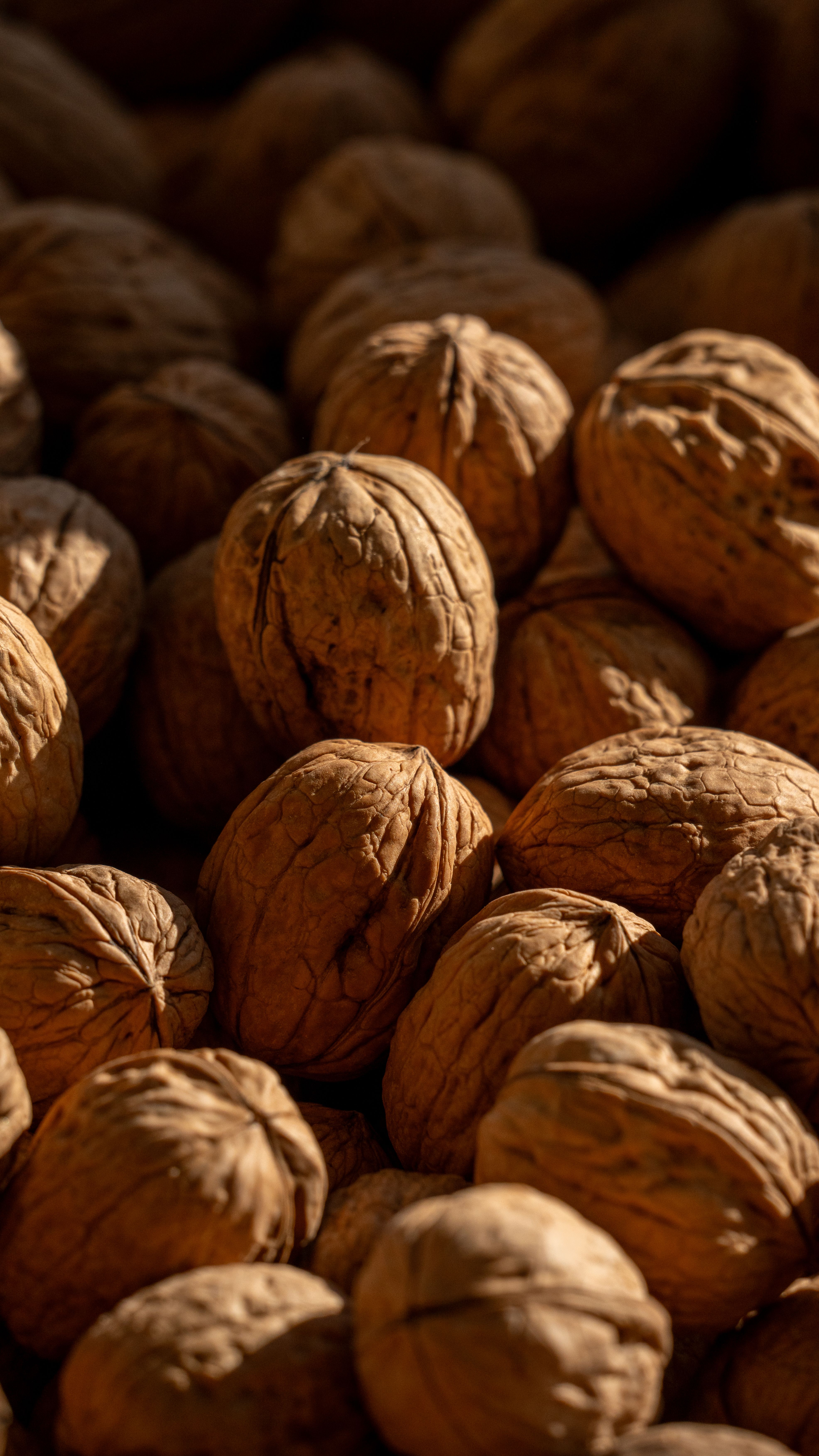 A close-up view of walnuts with rich textures and warm lighting, creating a cozy autumn feel.