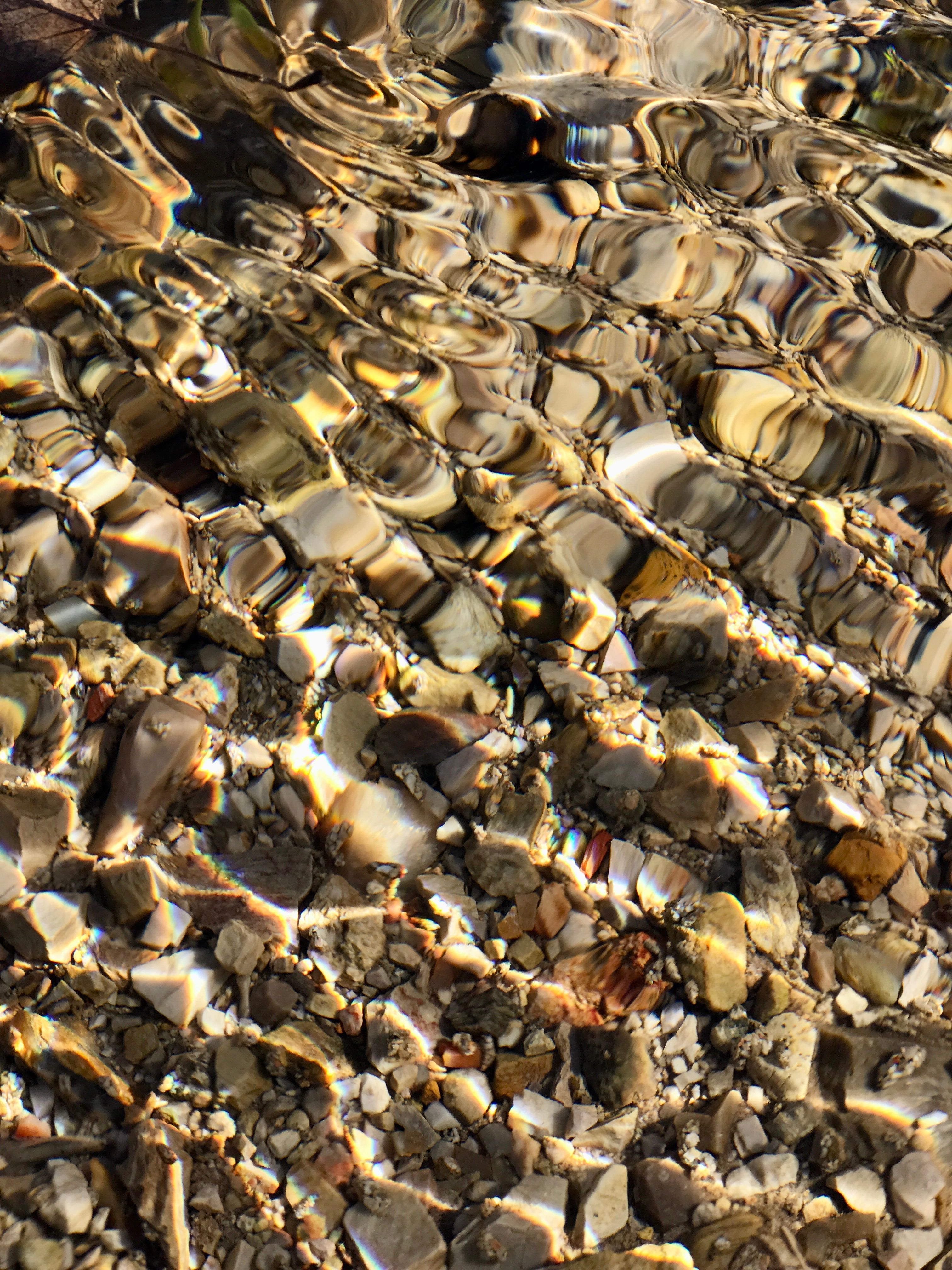 Crystal Clear Water Over Rocky Riverbed · Free Stock Photo