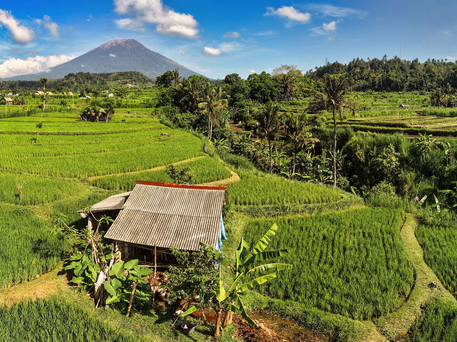 Bali Honeymoon Package 5 Nights 6 Days