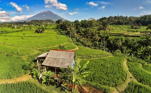 Free A picturesque view of rice terraces and Mount Agung in Bali, Indonesia. Stock Photo