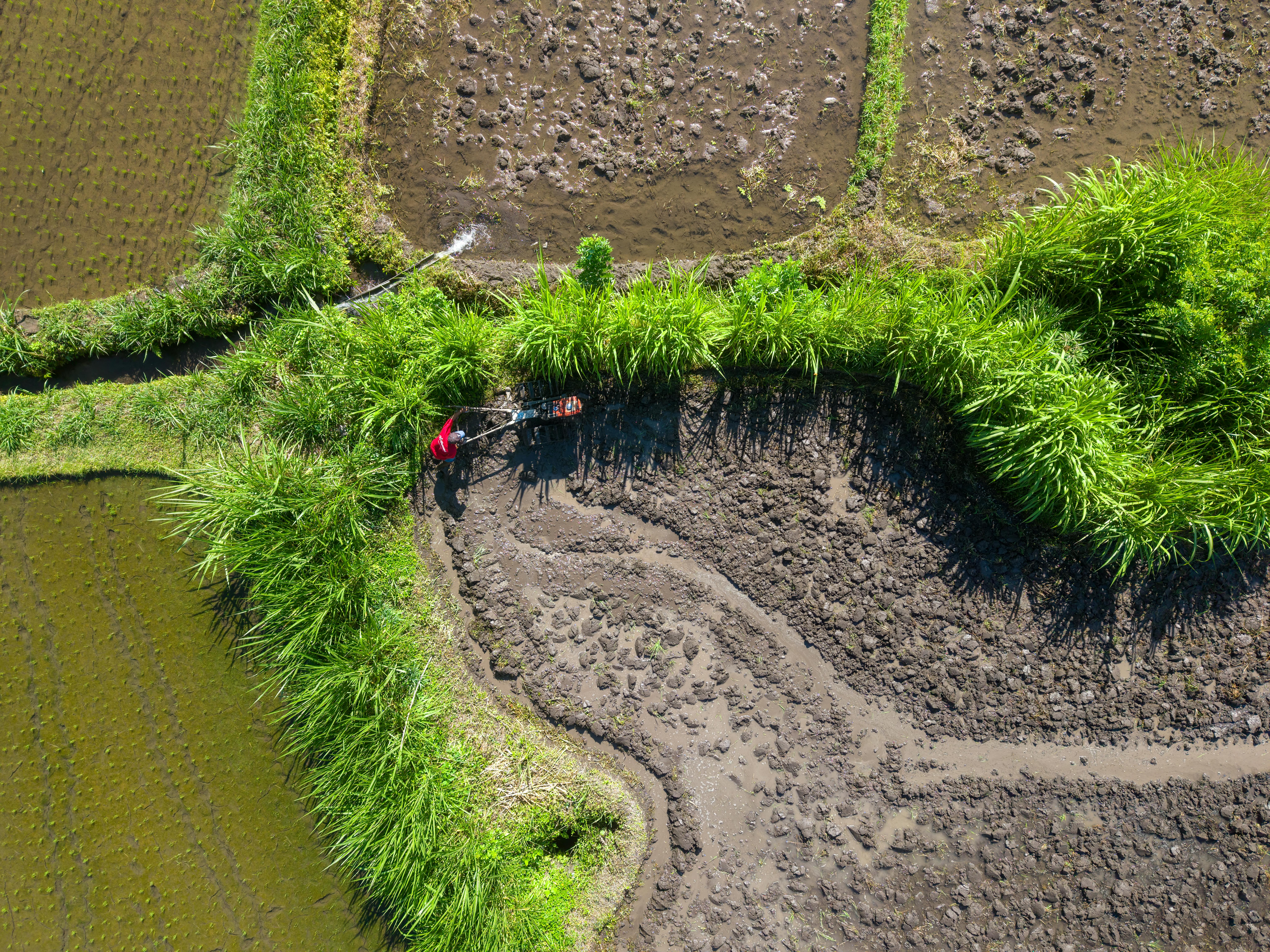 climate resilience ecosystem restoration — Photo by Tom Fisk on Pexels