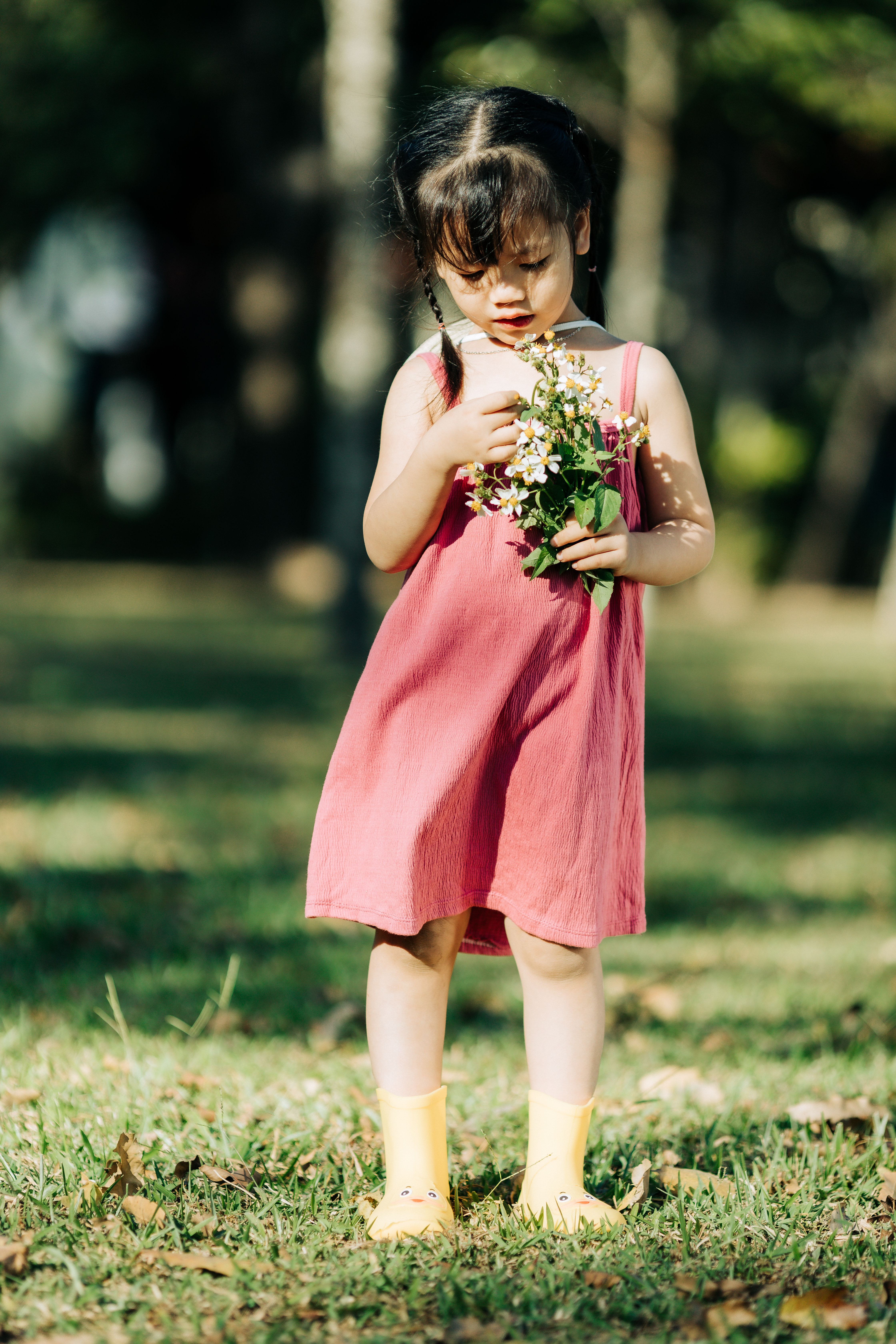 Young Girl in Pink Dress Holding Flowers Outdoors · Free Stock Photo