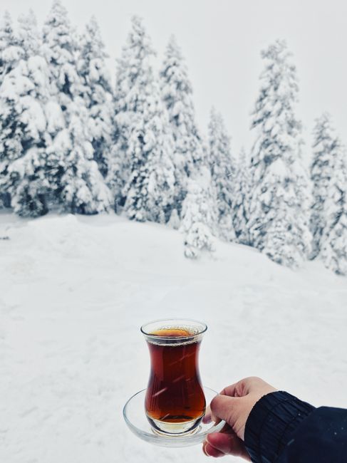Ilgaz Gezi Rehberi