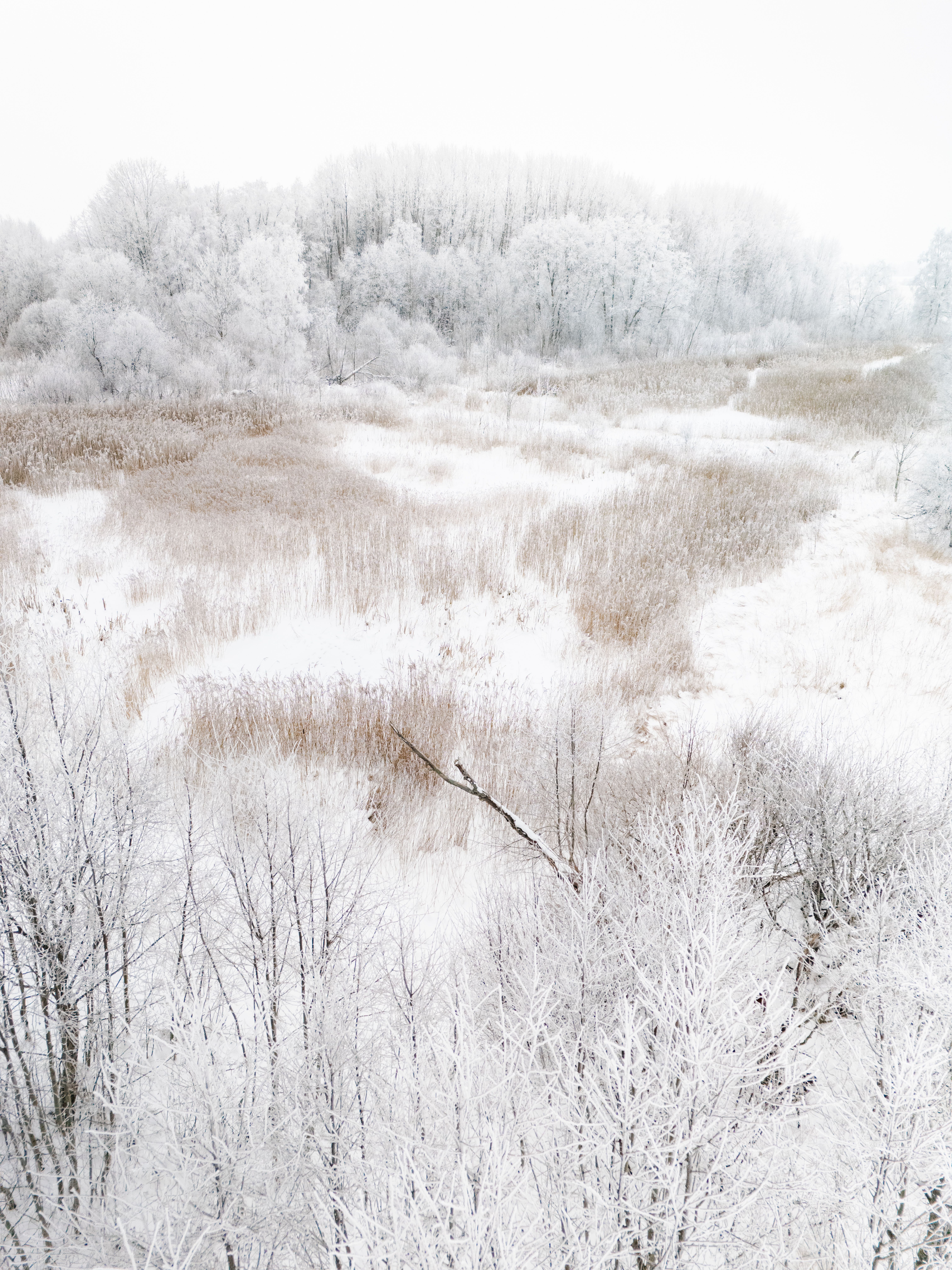 Aerial View of Snow-Covered Winter Landscape · Free Stock Photo