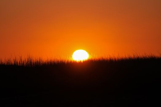 A stunning sunset with vibrant orange hues casting over a grassy horizon.