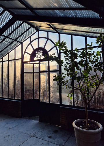 Sunlight through a vintage greenhouse — photo by Anne van der Valk on Pexels