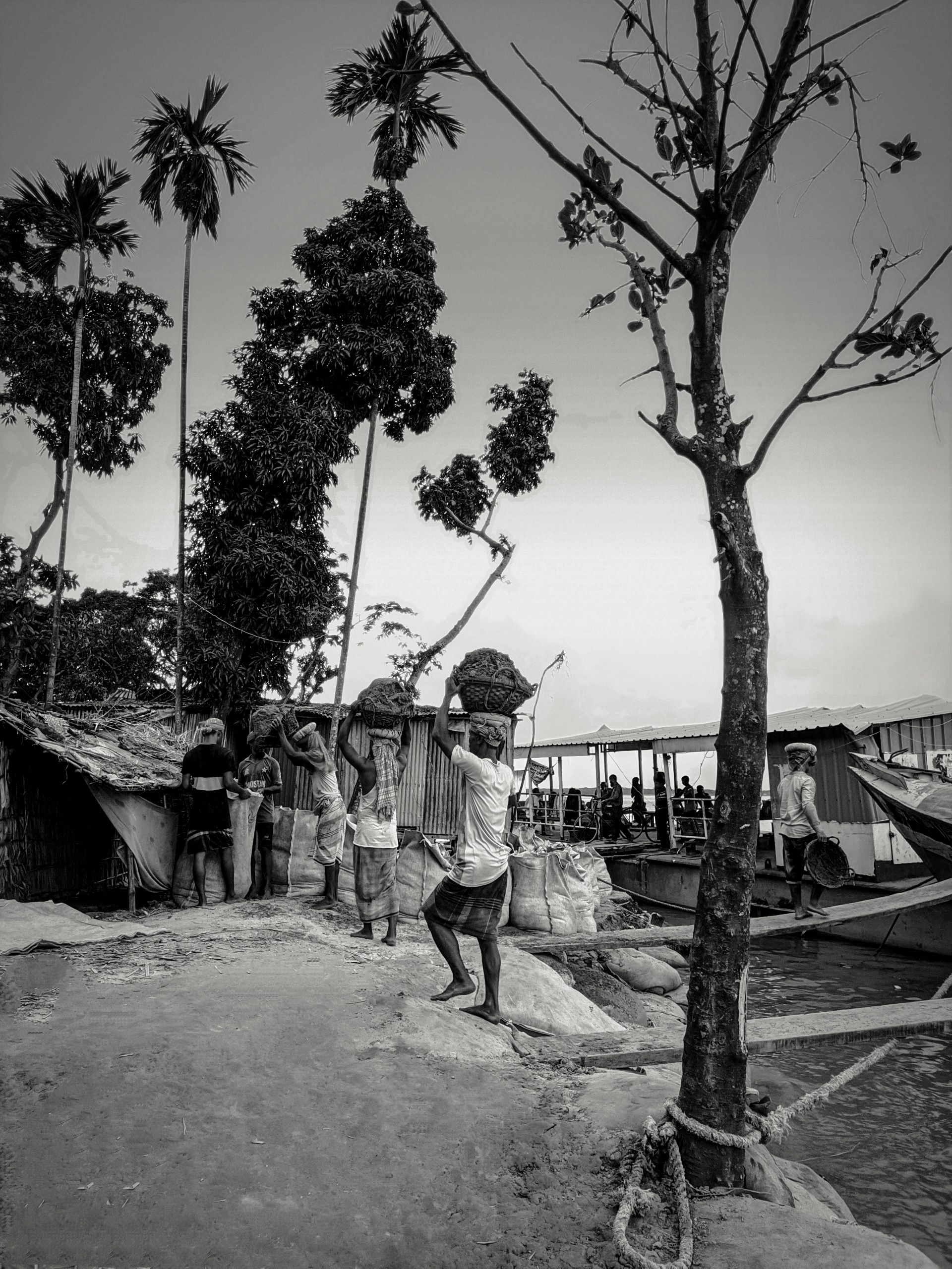 Daily Life and Labor Scene in Monochrome · Free Stock Photo