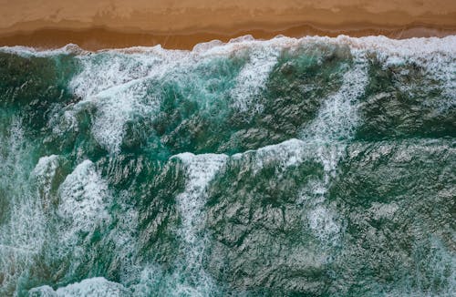 Gratis arkivbilde med bølger, dagtid, delfinkysten Arkivbilde