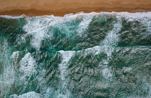 Δωρεάν στοκ φωτογραφιών με kzn, oceanshore, ακτή