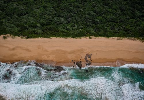 Free Aerial shot of Dolphin Coast's scenic beach with lush greenery and ocean waves. Stock Photo