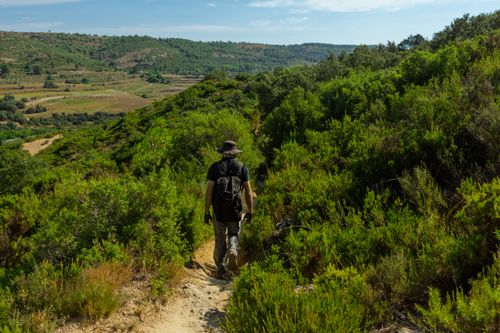 Free A lone hiker navigating a scenic trail surrounded by lush greenery and rolling hills on a sunny day. Stock Photo