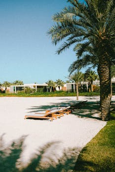 Enjoy a tranquil day at a beachfront resort in Ras Al-Khaimah, UAE, with palm trees and sun loungers.