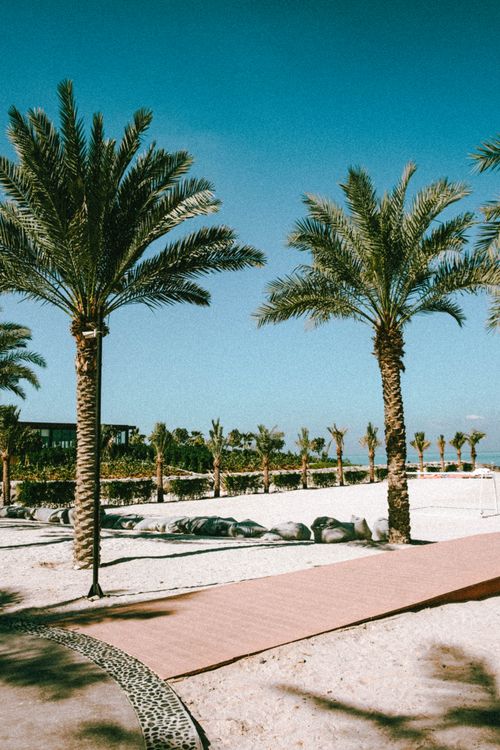 Free Explore the serene beach lined with palm trees in Ras Al-Khaimah, UAE. Stock Photo