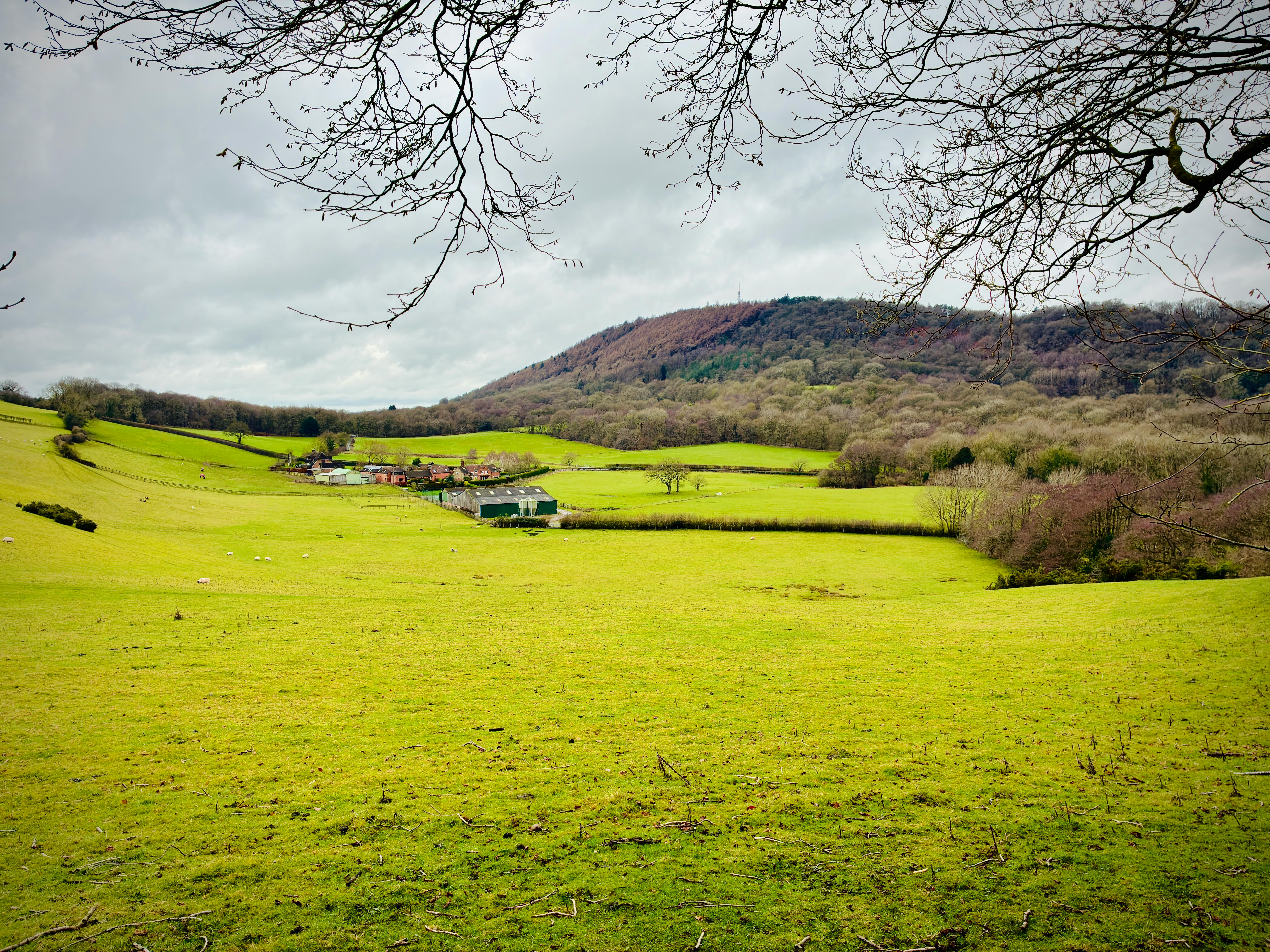 비대칭 전력 감시를 위한 조기 경보 레이더 시장 분석 2