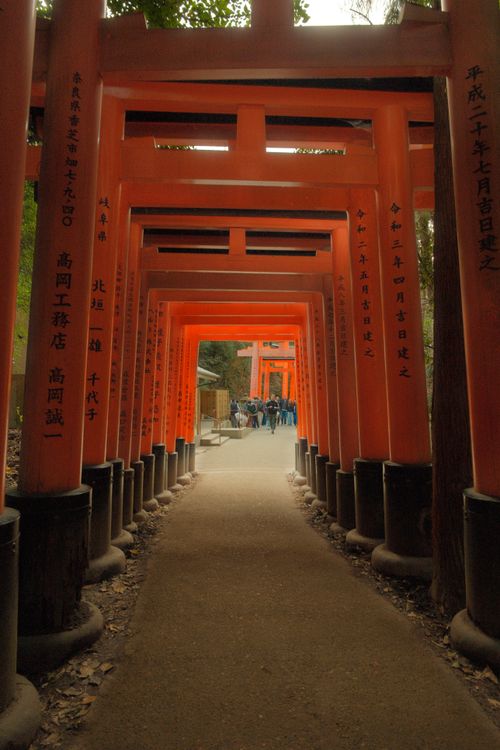 Iconic Fushimi Inari Shrine Torii Gates in Kyoto · Free Stock Photo